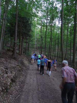 Nachdem sich 33 Kinder am Denkmal auf der Dreieiche um 20.30 Uhr eingefunden hatten, führte der Weg in den Wald zur Wanderung rund um den Himmelberg.