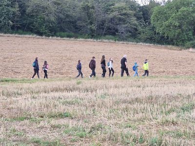 Hartmut führte die Ferienkinder über einen Wiesenweg hinauf in Richtung Wald.