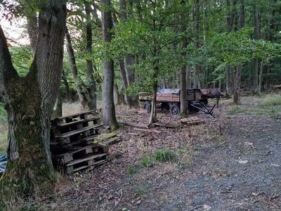 ... in den Wald, vorbei an Holz ...