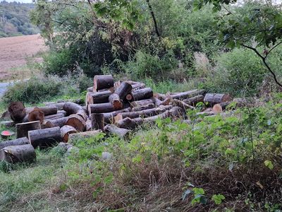 ... in verschiedenen Formen.