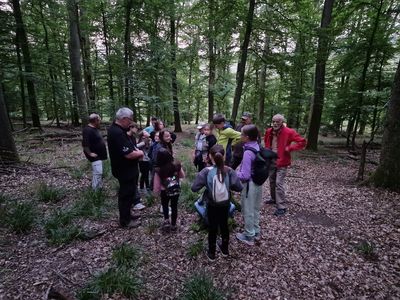 ... für diverse Erklärungen ...