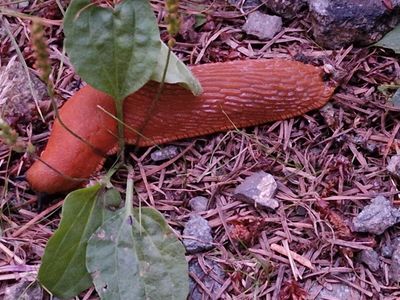 ... und Tierbeobachtungen entlang des Weges.