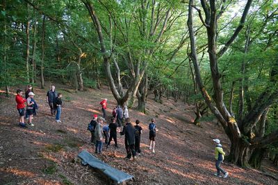 ... denn der Weg führte wieder in den Wald, ...