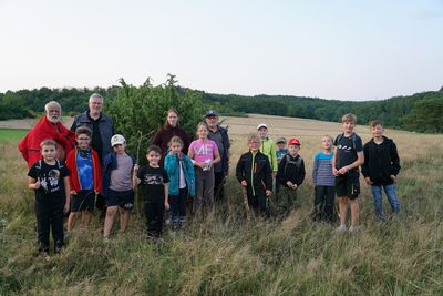 ... kamen sie aus dem Wald heraus.
