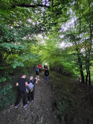 Es ging oberhalb des Roßbachs entlang.