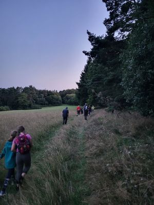 Der Wiesenweg führte ...