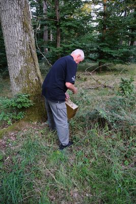 Diese war inzwischen zur Dreisbacher Goldkiste gelaufen, wo sie eine Goldkiste fanden, die wir zuvor dort versteckt hatten.